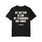My Battery Is Low. My Standards Are Lower.