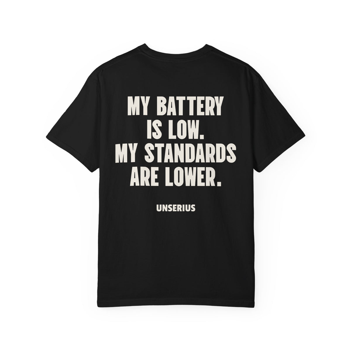 My Battery Is Low. My Standards Are Lower.