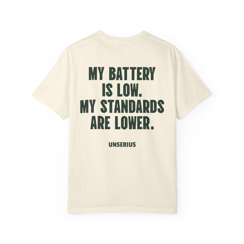 My Battery Is Low. My Standards Are Lower.