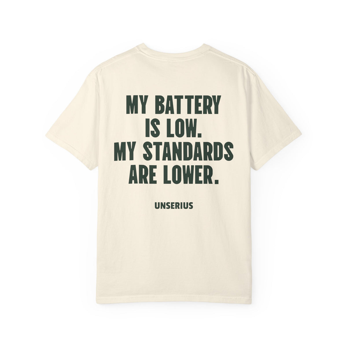 My Battery Is Low. My Standards Are Lower.